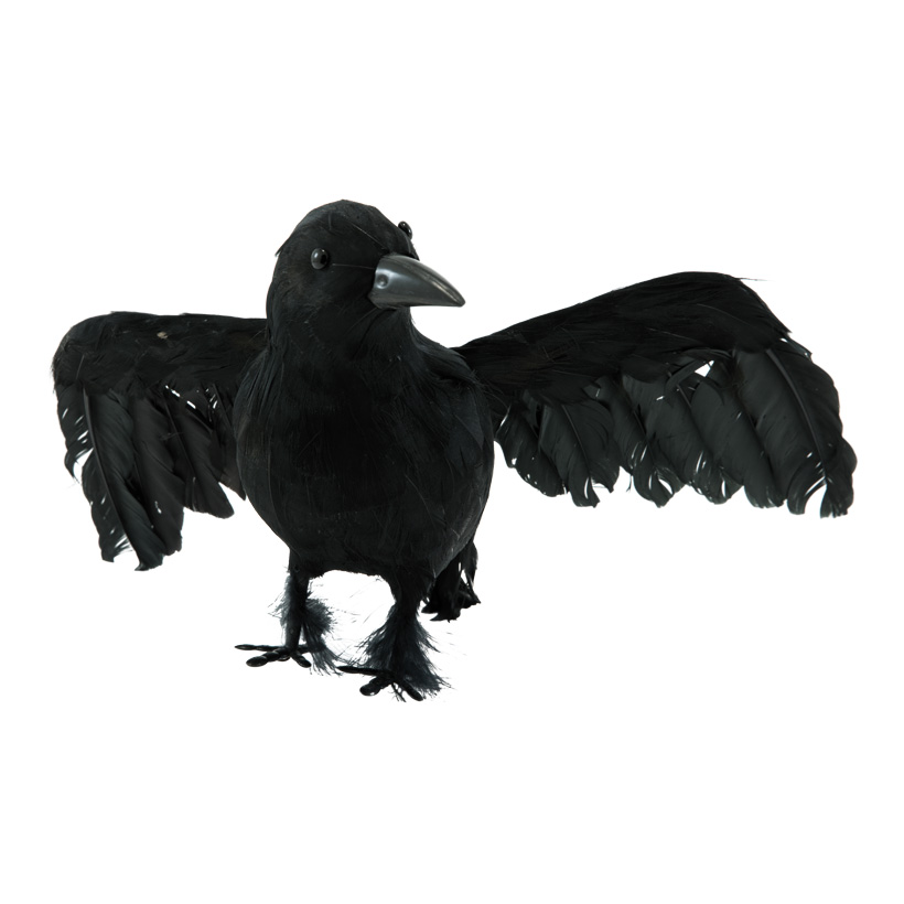 Crow 22x38x20cm out of styrofoam/feathers, spreaded wings