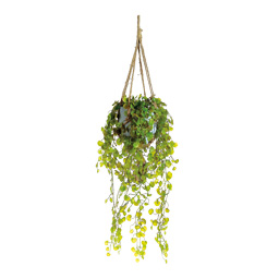 # Hanging plant 80 cm, Ø 25 cm fabric, in clay pot