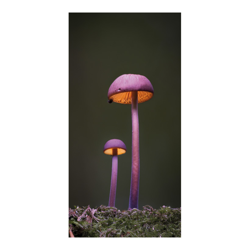 # Banner Mushrooms, 80x200cm out of fabric
