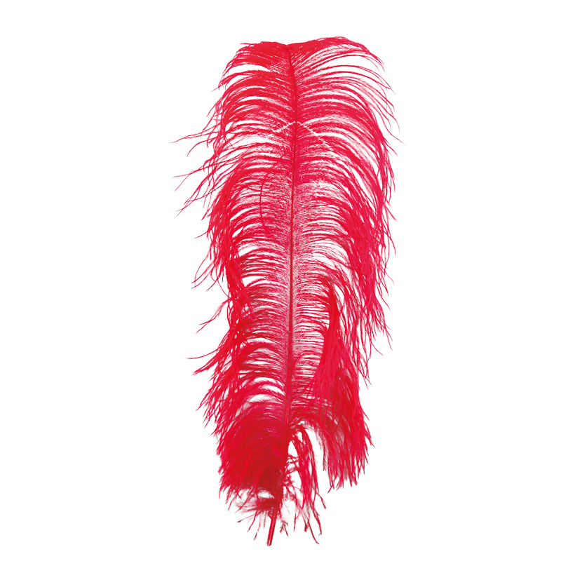 Ostrich feather, 60cm natural
