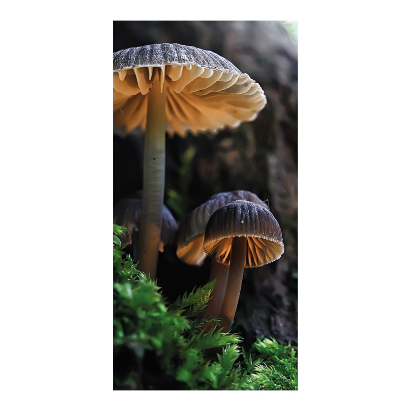 # Banner Mushrooms, 80x200cm out of paper
