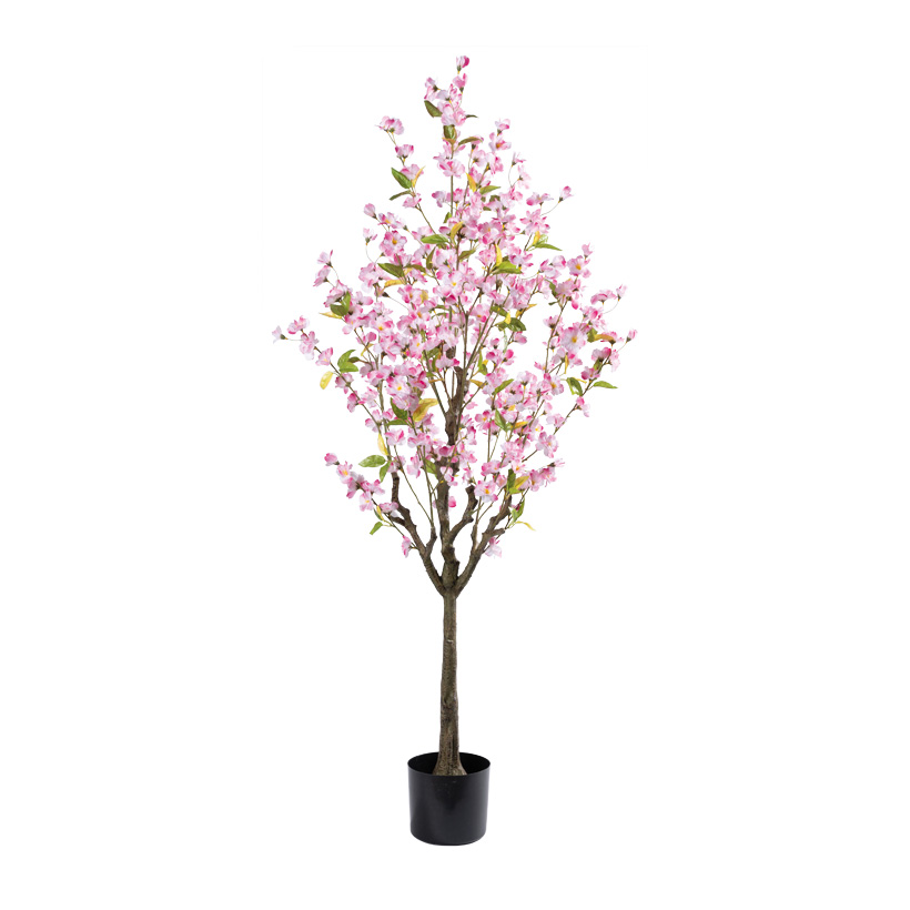 cherry blossom tree in pot, 150cm Topf: Ø16cm 304 blossoms, out of plastic/artificial silk