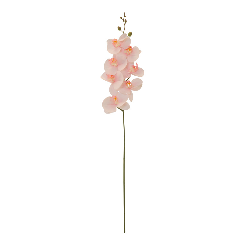 # Orchid, 84cm out of plastic/artificial silk