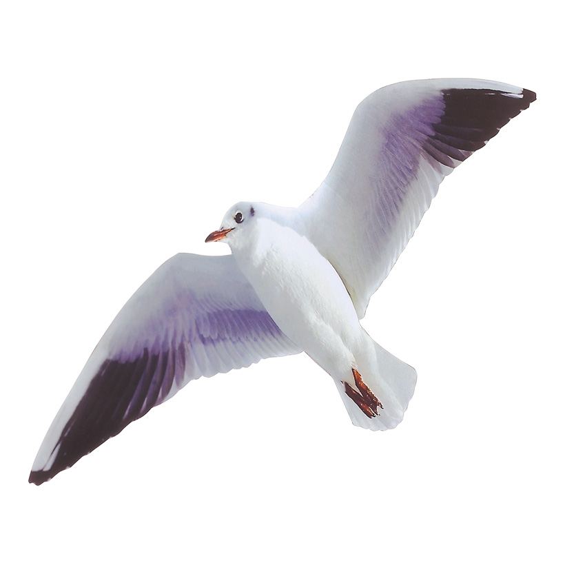 # Flying seagull 39 cm Spannweite, 15 cm hoch, cardboard, printed on both sides